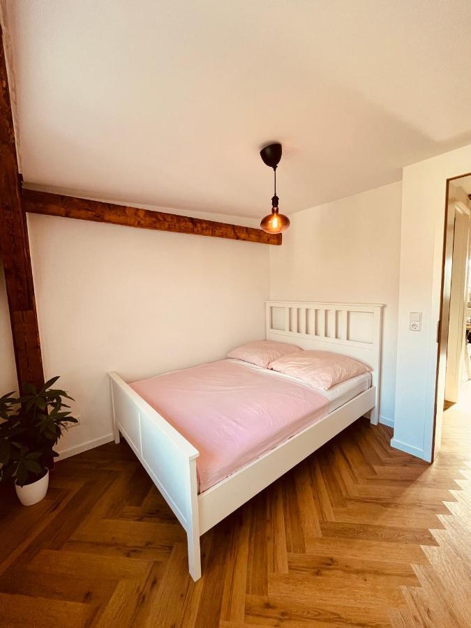 Jugendstil-Altbauwohnung Mit Dachterrasse Direkt An Der Karlsaue Kassel Exterior photo